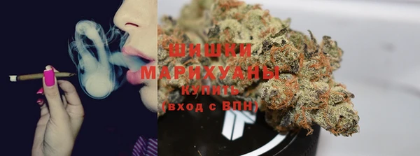 амф Сосновоборск