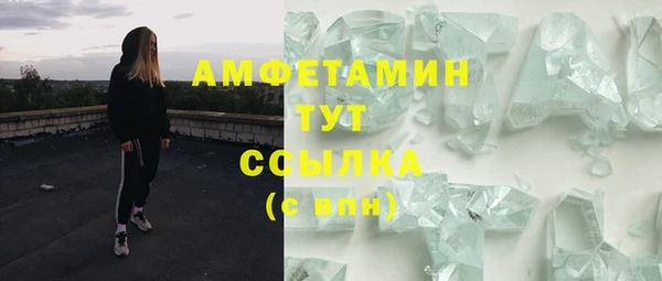 гашик Богородск