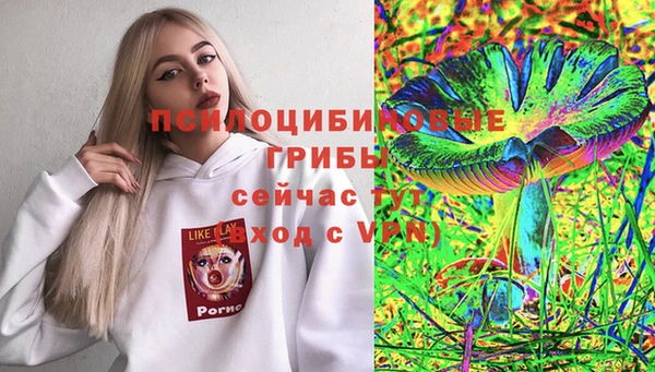 амф Сосновоборск