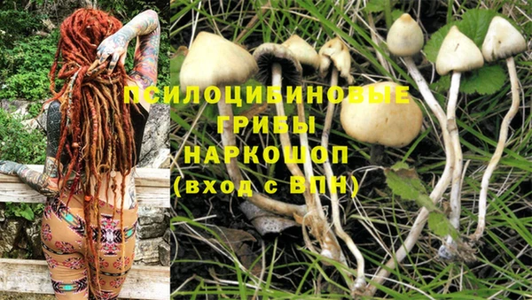 ешки Белокуриха