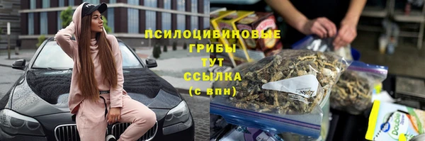 гашик Богородск