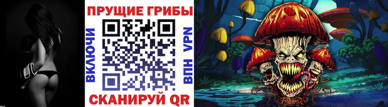 магазин  наркотиков  Чкаловск  Галлюциногенные грибы Psilocybine cubensis 